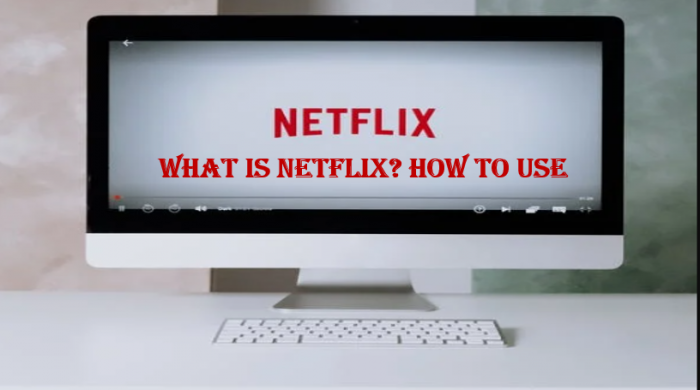 What is Netflix? How to Use – (Netflix Subscription Plan)